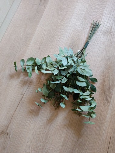 Eukalyptus strauss neu ikea - eukalyptus,