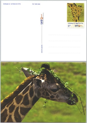 Lvz ganzsache giraffenjunges - ganzsache,