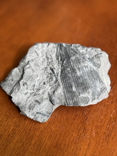Fossiler schiefer mit - fossiler,