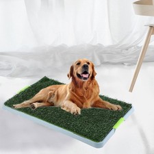 Welpentoilette Hundetoilette