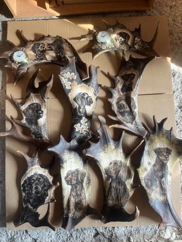 Damhirschgeweih mit jagdhunde - damhirschgeweih,