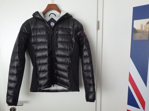 Original canada goose - original,