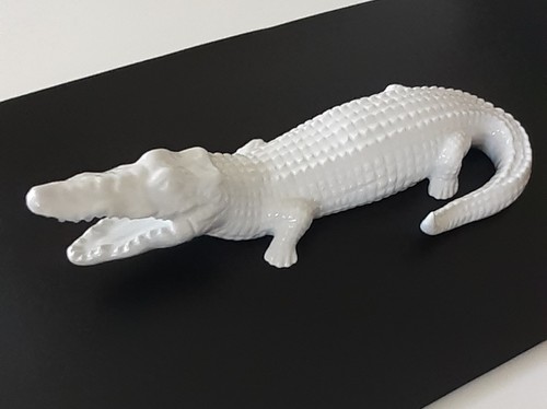 Krokodil alligator weiß - alligator,