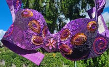 Bauchtanzl-Kostüm; Belly dance