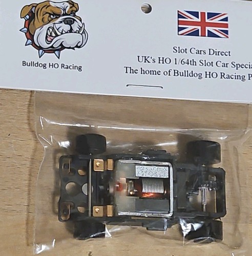 Bull dog racing - dog, super