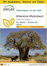 SAFLAX - Anzuchtset -