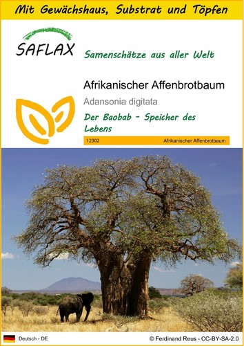 Saflax anzuchtset - saflax,