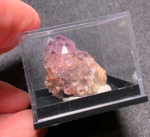 Sayda amethyst kaktus - sayda,
