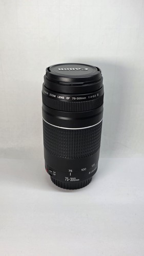 Canon 300mm 5 6 - canon, f/4-5.6