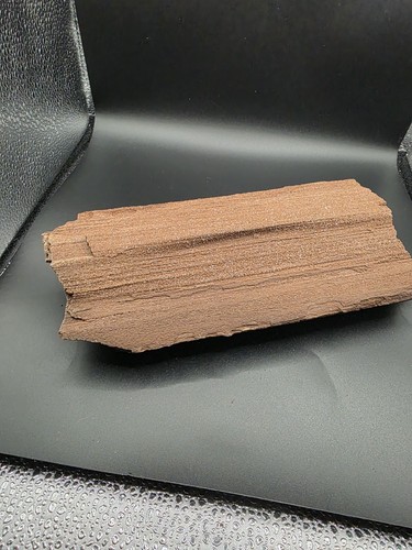Versteinertes holz zwenkau - versteinertes, holz,zwenkau