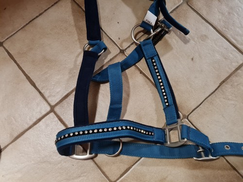 Halfter mit strick für - halfter, pferde