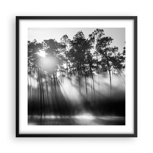 Wandbilder 50x50cm poster - wandbilder,