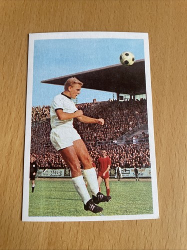 Bergmann 1966 36 may - ,