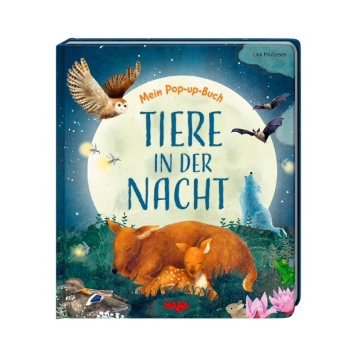 Haba pop buch - in, der
