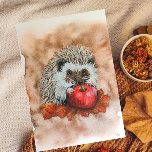 Igel aquarellbild gemalt mit - igel,