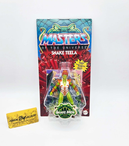 Motu masters the universe - the,