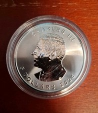 10 * 1 oz Maple Leaf 999er