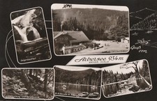 AK Gruß vom Arbersee -