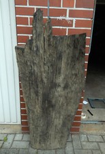 F8 Mooreiche 139x66x21 Bohle Bog Oak Stamm Altholz Drechselholz Skulptur schnitz