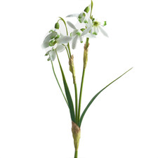 Kunstblume Schneeglöckchen 34cm. Künstliche Blume, Frühlingsdeko WEISS-GRÜN