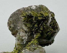 TOP Kleinstufe Mottramit xx