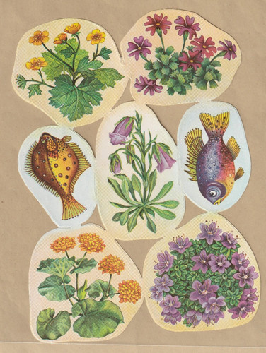 Ddr stammbuchbilder blumen - ddr,