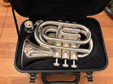 Taschentrompete Monzani