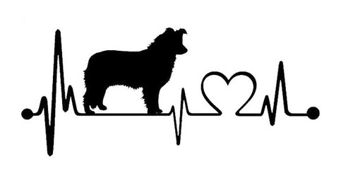 Border collie herzschlag - border,