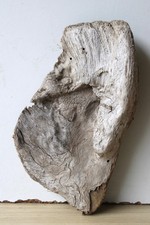 Treibholz Schwemmholz