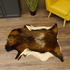 Mufflon Fell Vorleger Länge 107 cm männlich B Ware 87.17.10