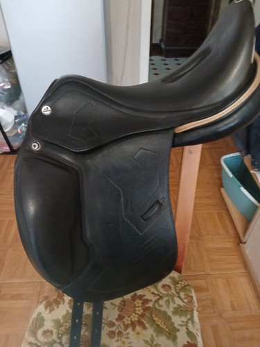 Prestige breath dressage - prestige, x-breath-dressage