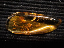 Baltischer Bernstein mit