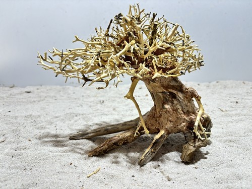 Aquariumwurzel bonsai - aquariumwurzel,,