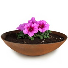 Pflanzschalen für draußen -