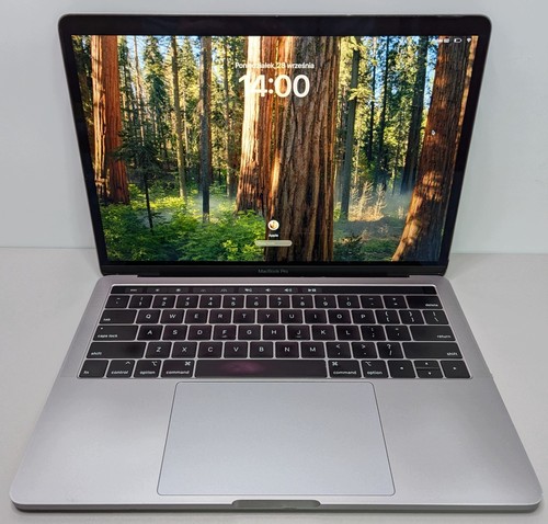 Apple macbook pro a1989 - macbook, i7