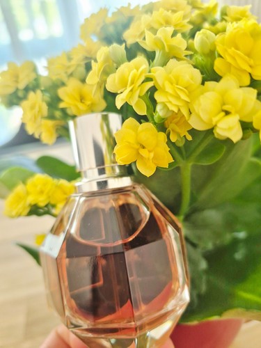 Viktor rolf flowerbomb - viktor, &