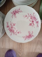 6 große Speiseteller