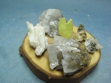 Miniatur Sammlung Schwefel, Strontianit, Calcit, Pyrit, Smithsonit auf Baumschei