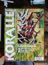 Zeitschrift KORALLE - Nr. 95