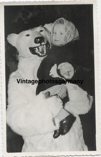 Z4546 foto 1956 eisbär - z4546,
