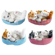 Interaktive Katze Spielzeug