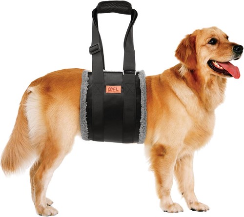 Verstellbare hunde tragehilfe - verstellbare, hunde-tragehilfe