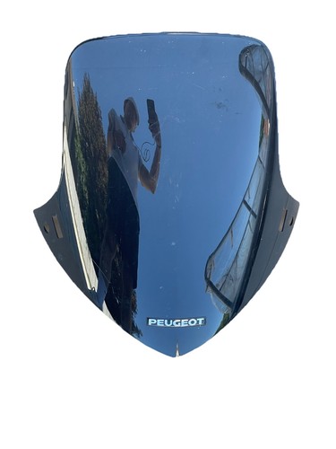 Peugot elystar oem windschild - elystar,