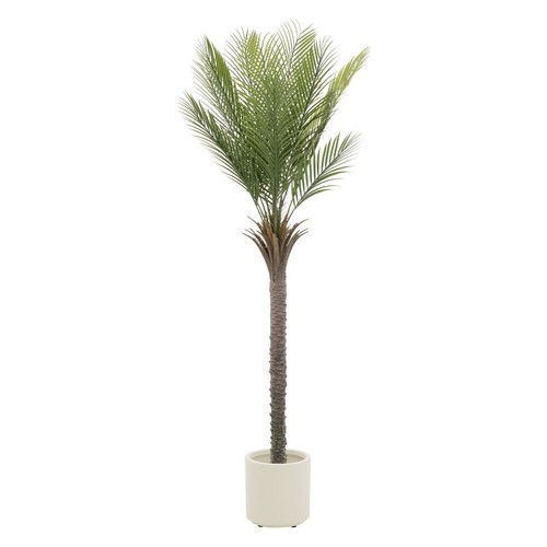 Künstlicher palmenbaum - künstlicher,