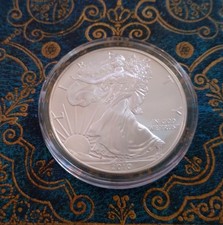 USA ° 1 Dollar 2010 ° 1 oz