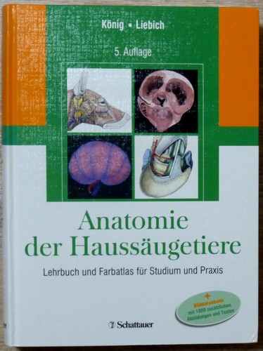 König liebich anatomie der - könig/liebich:,