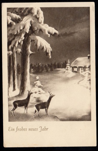 Neujahr waldesrand bei - neujahr:,
