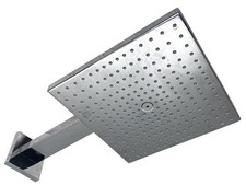 Duschkopf Hansgrohe Raindance