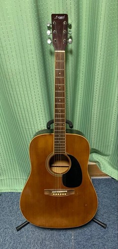 Legend akustikgitarre - legend,