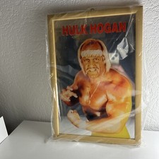 WWF WWE Wrestling Spiegel